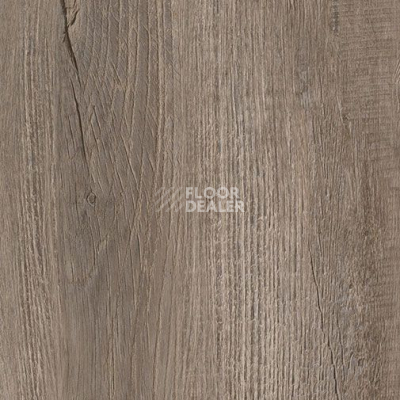 Кварцвиниловые полы Milliken Loose Lay HER208 Pride фото 1 | FLOORDEALER